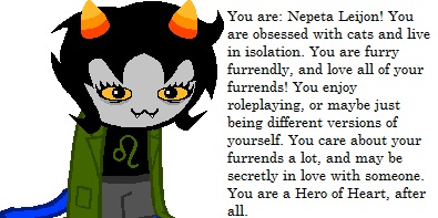 What type of otaku are you?